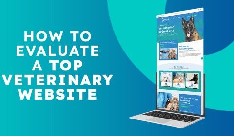 How to Evaluate a Top Veterinary Website